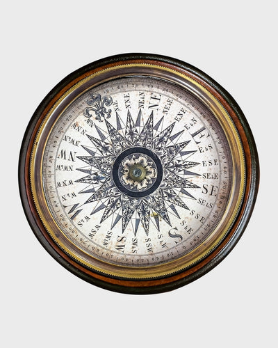 cs203 - Dry Compass